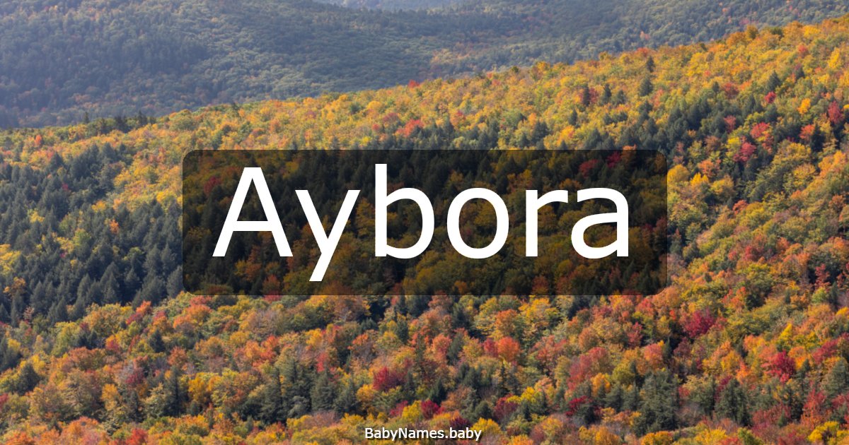 Aybora