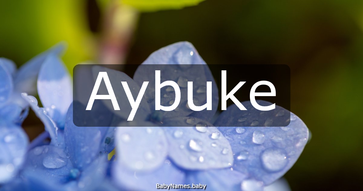 Aybuke