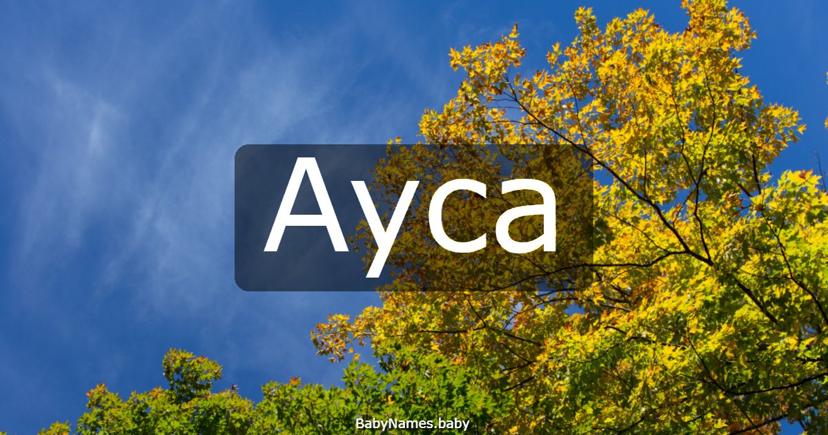 Ayca