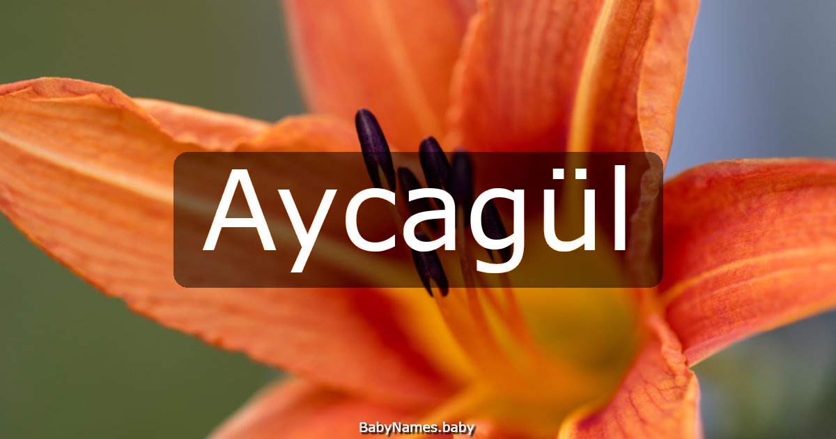 Aycagül