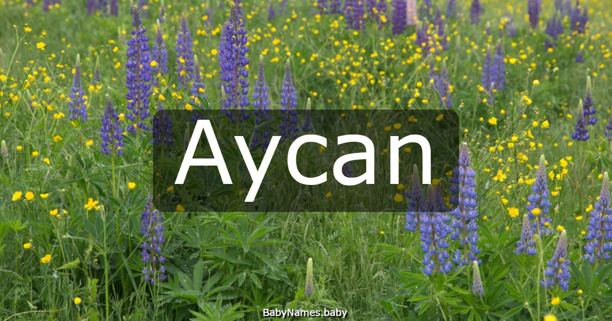Aycan