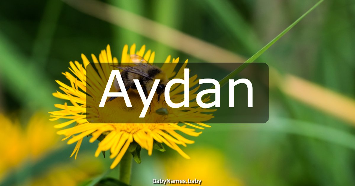Aydan