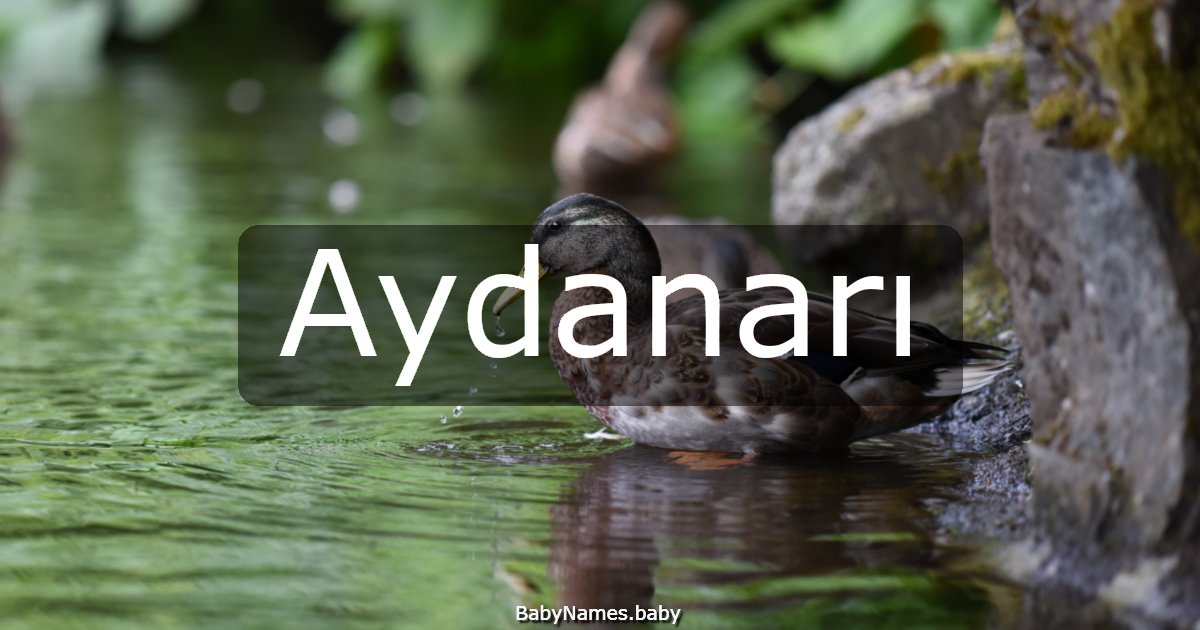 Aydanarı