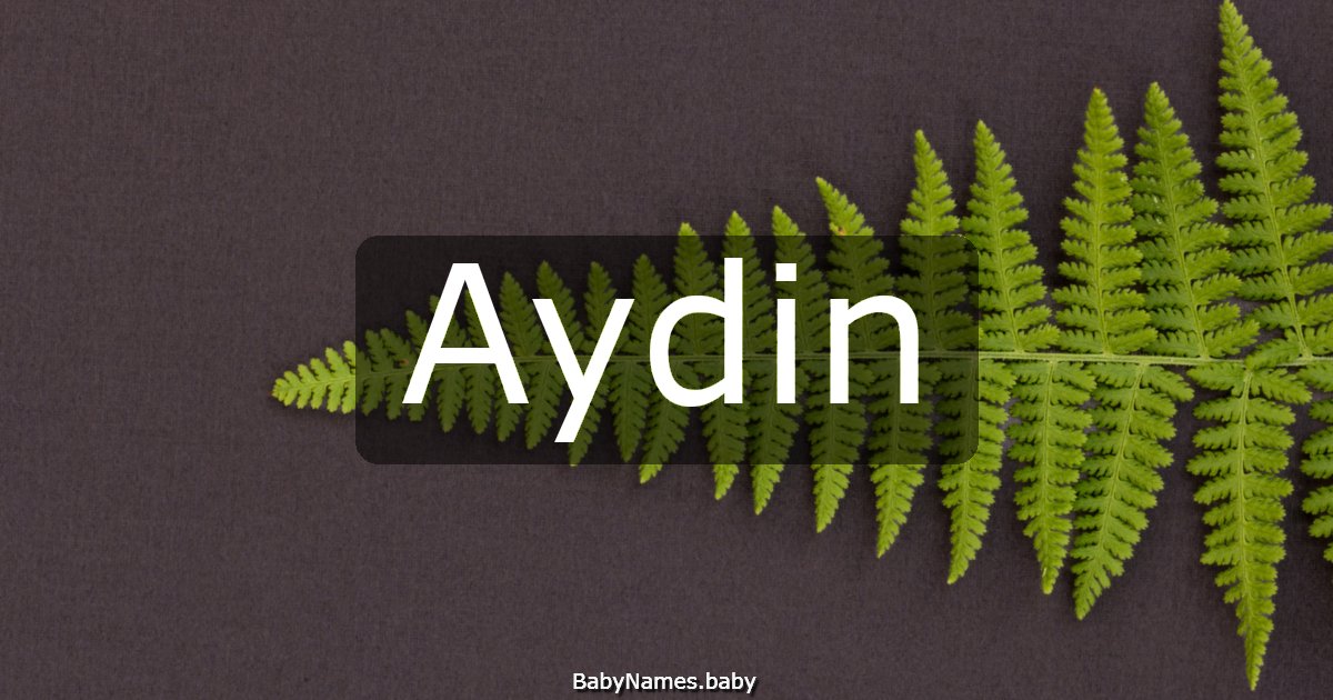 Aydin