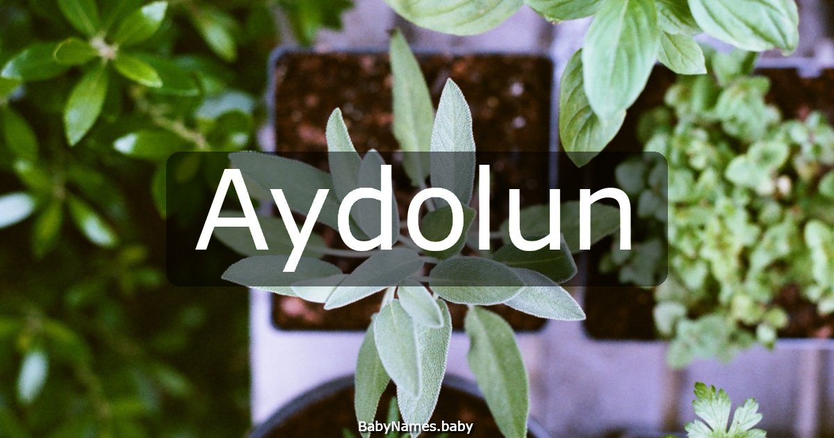 Aydolun
