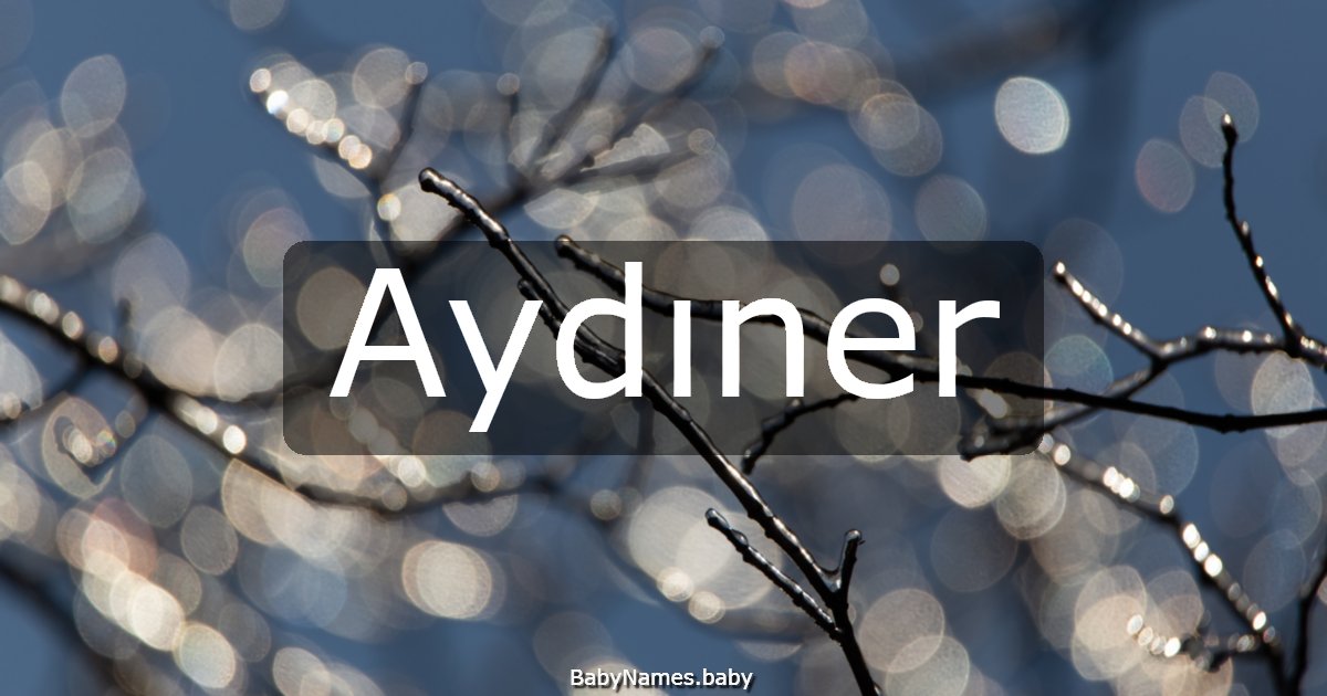 Aydıner