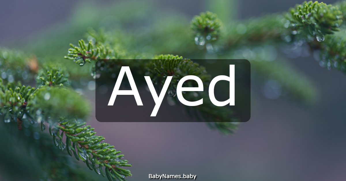 Ayed
