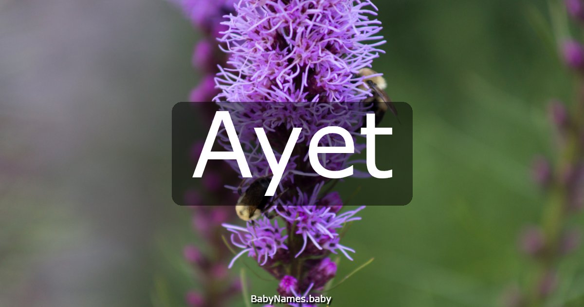 Ayet