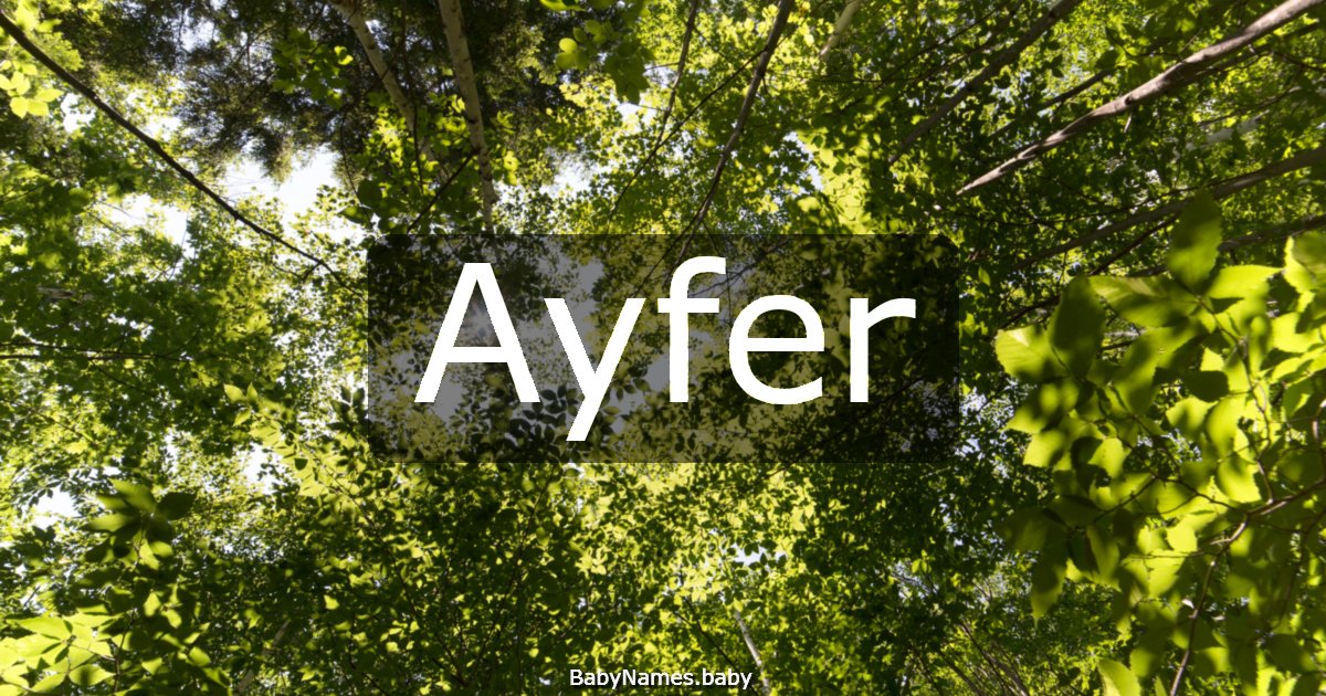 Ayfer