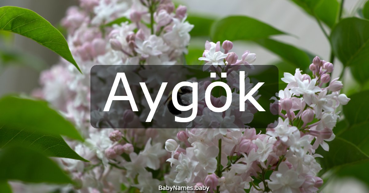 Aygök