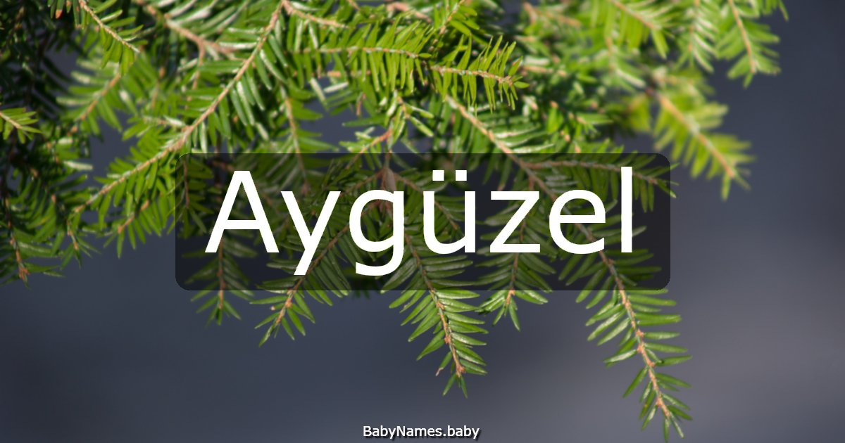 Aygüzel