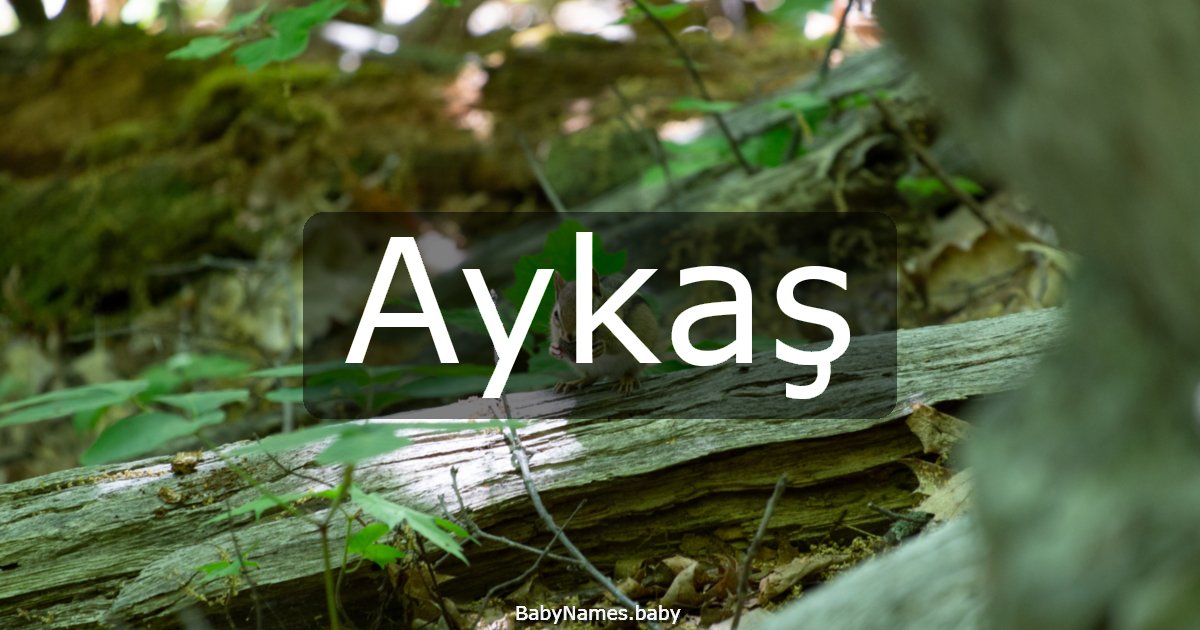Aykaş