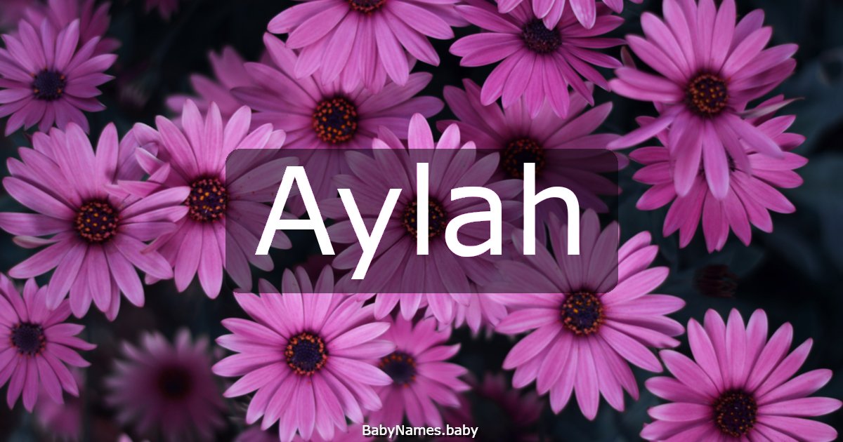 Aylah