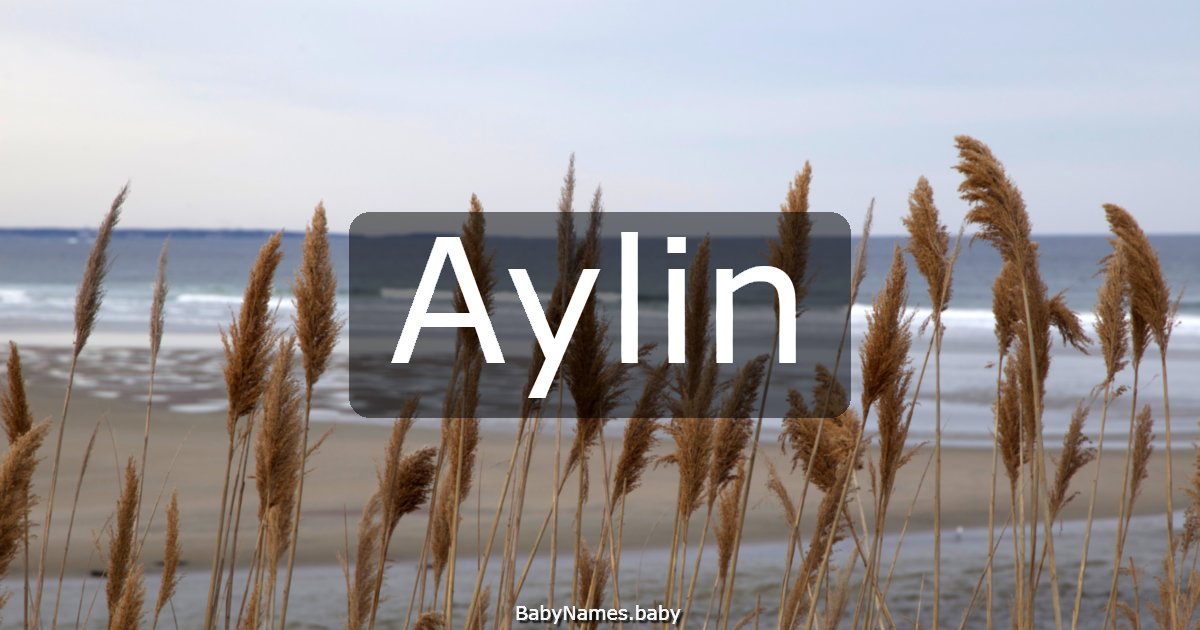 Aylin