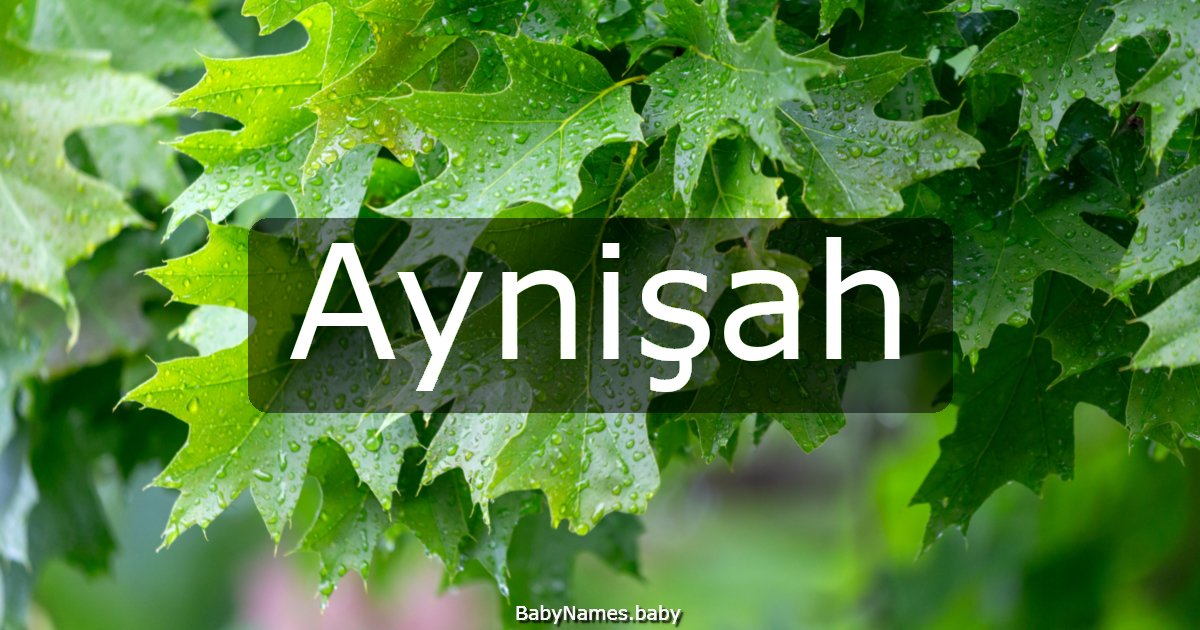 Aynişah