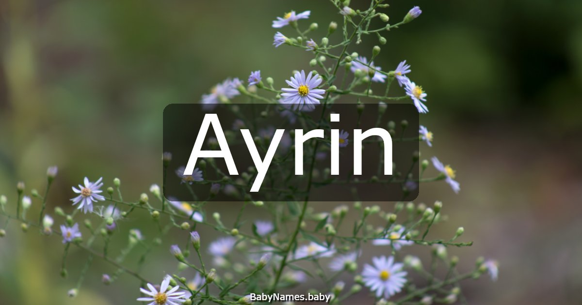 Ayrin