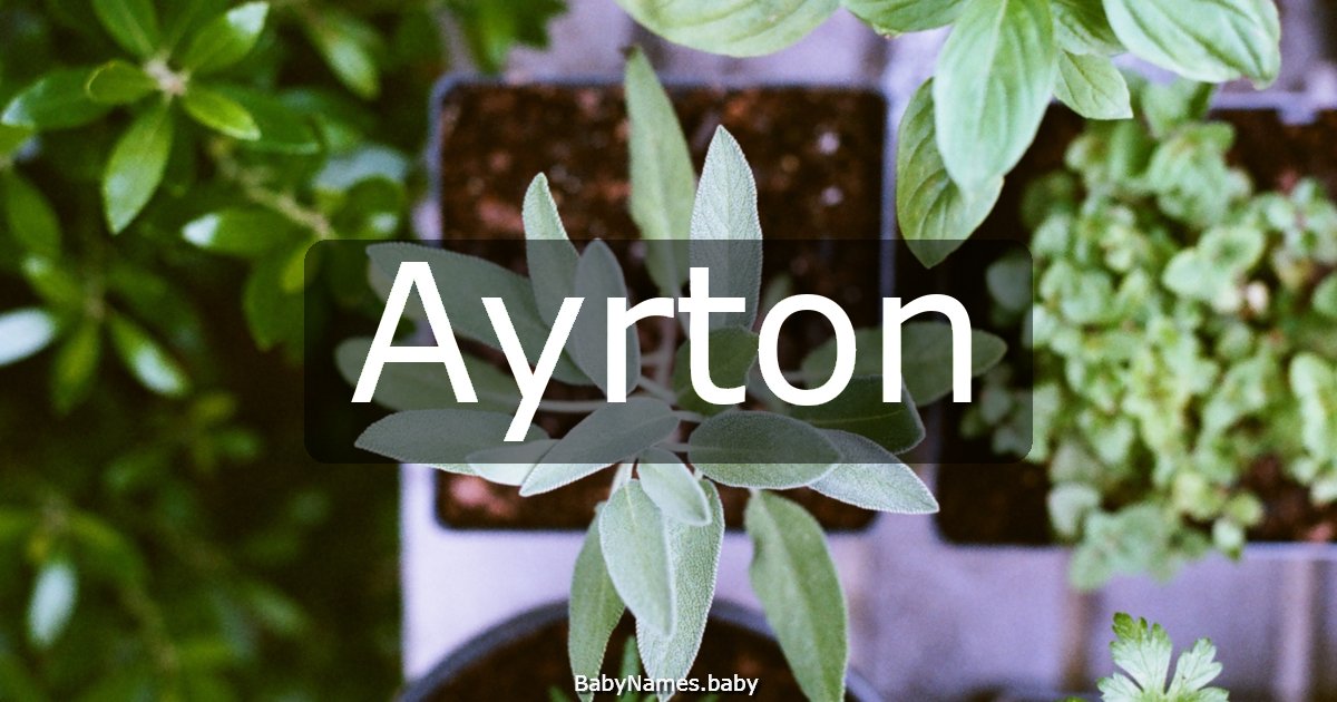Ayrton