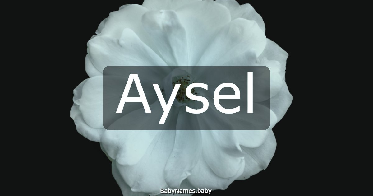 Aysel