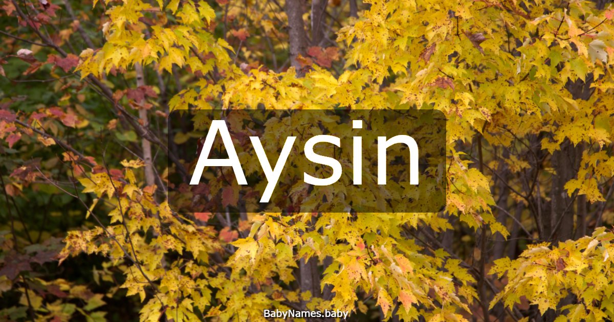 Aysin