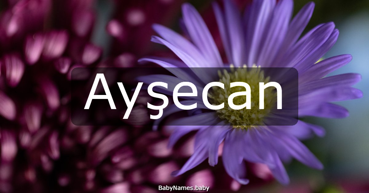 Ayşecan