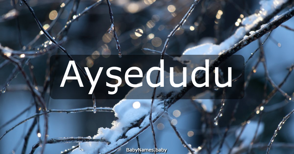 Ayşedudu
