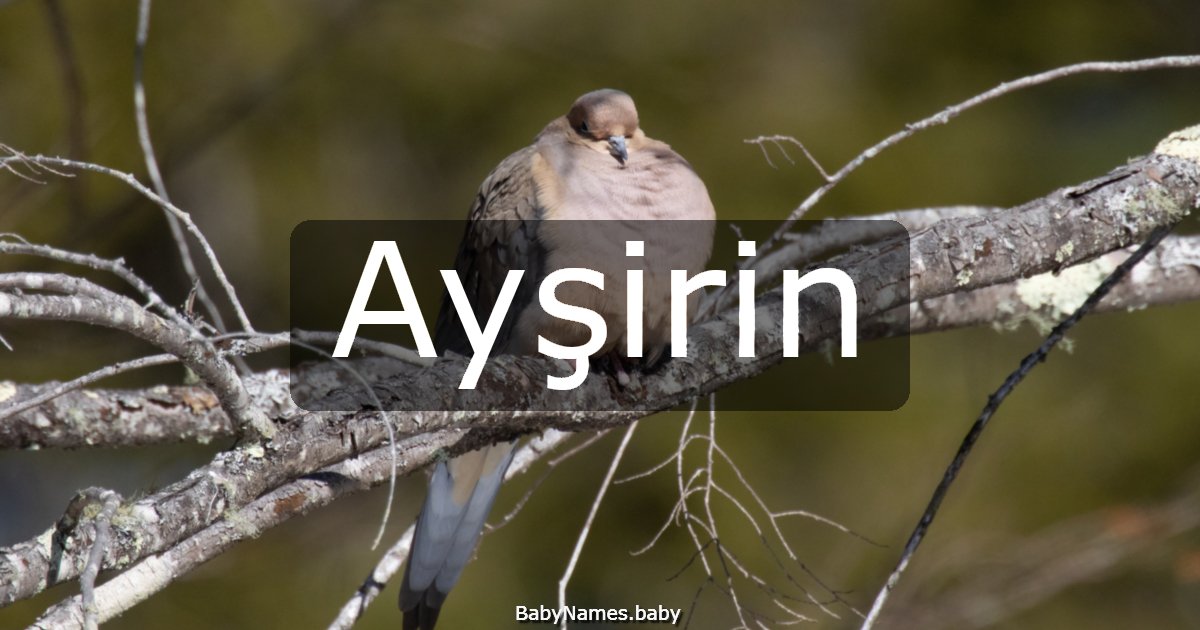 Ayşirin