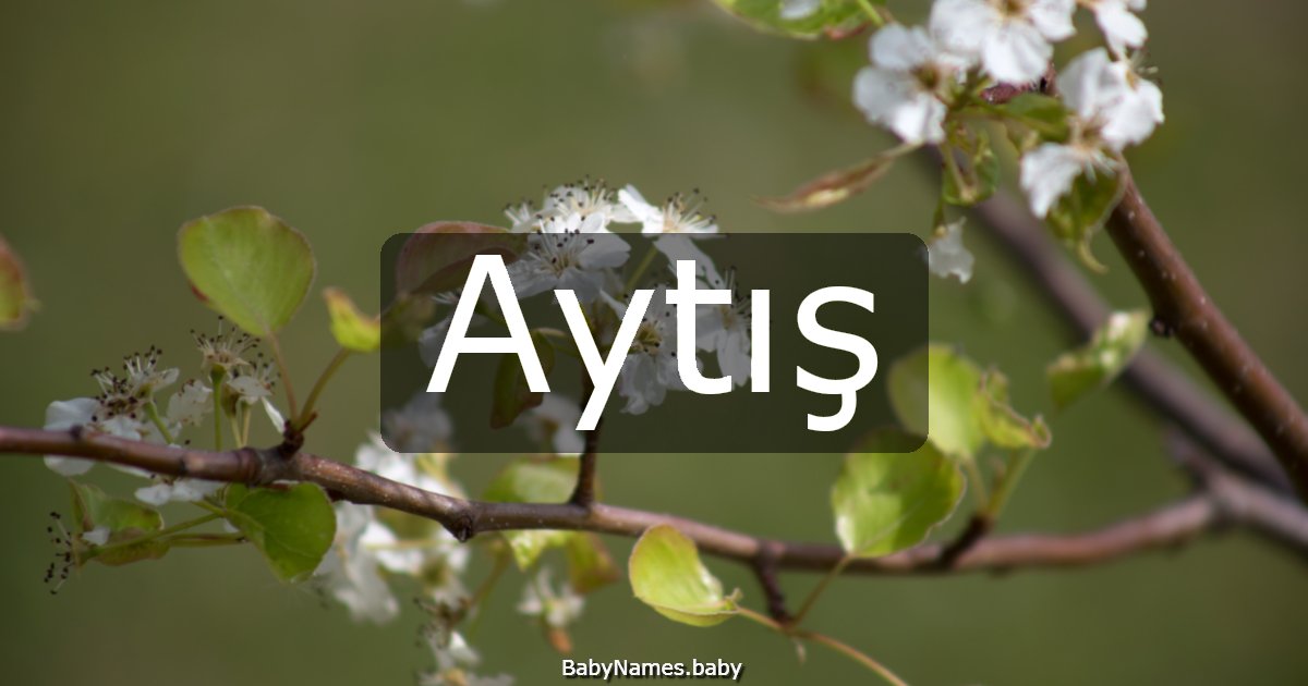 Aytış