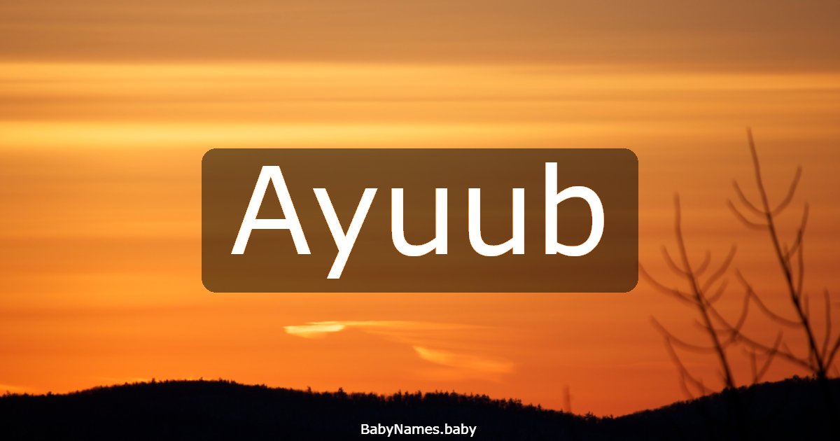 Ayuub