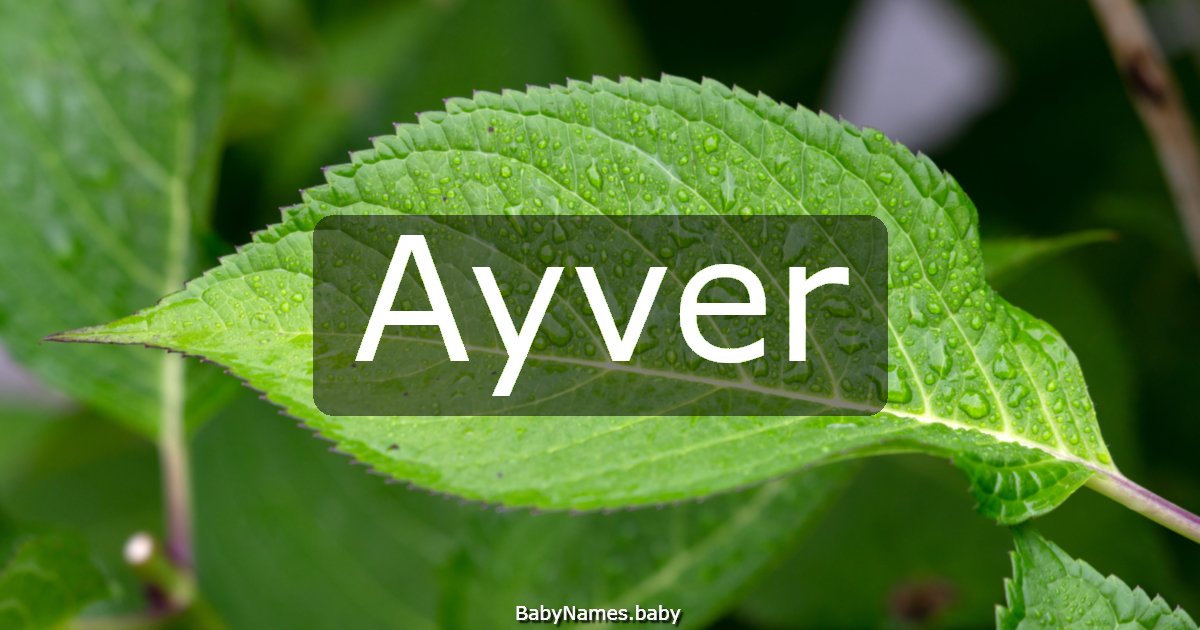 Ayver