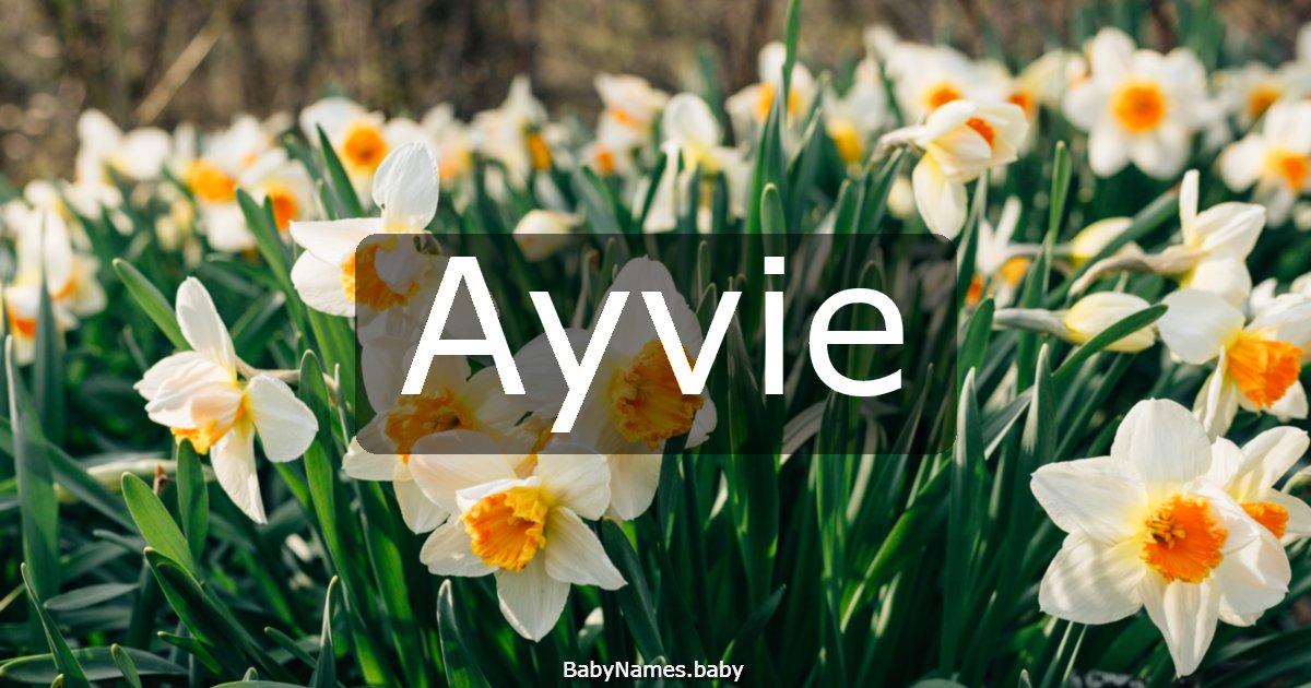 Ayvie