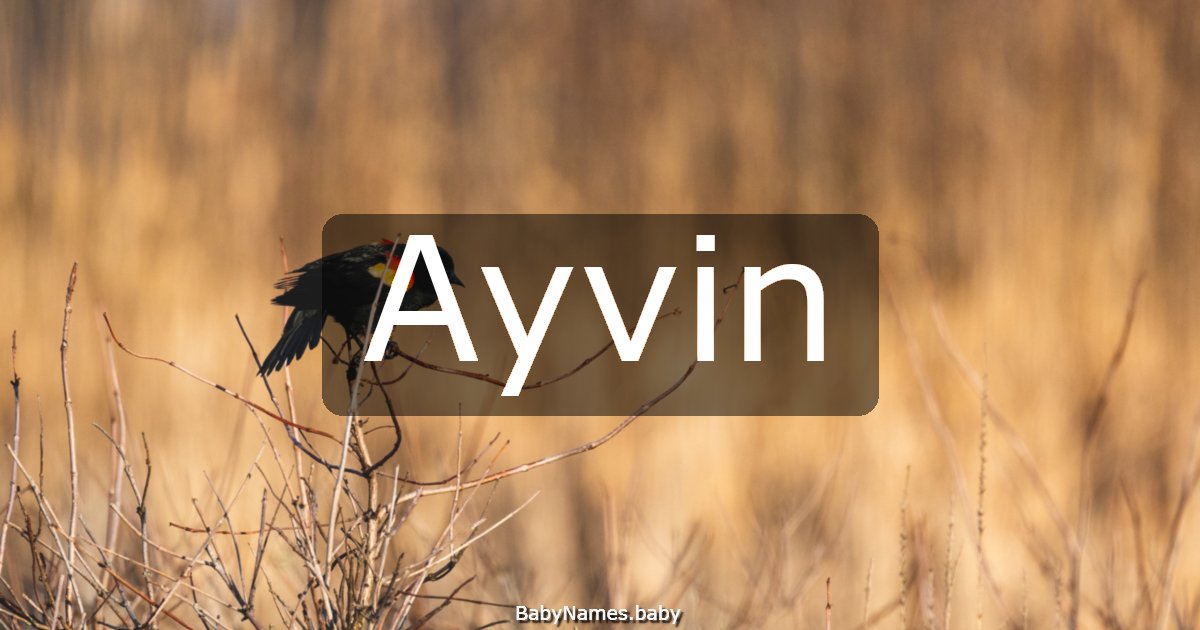 Ayvin