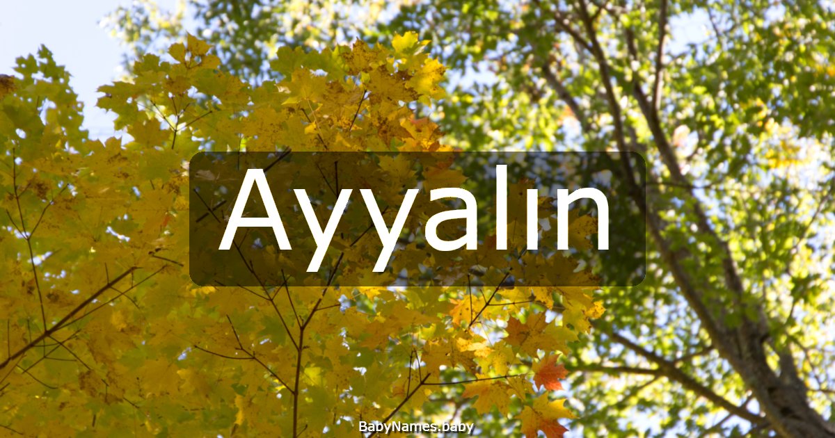 Ayyalın