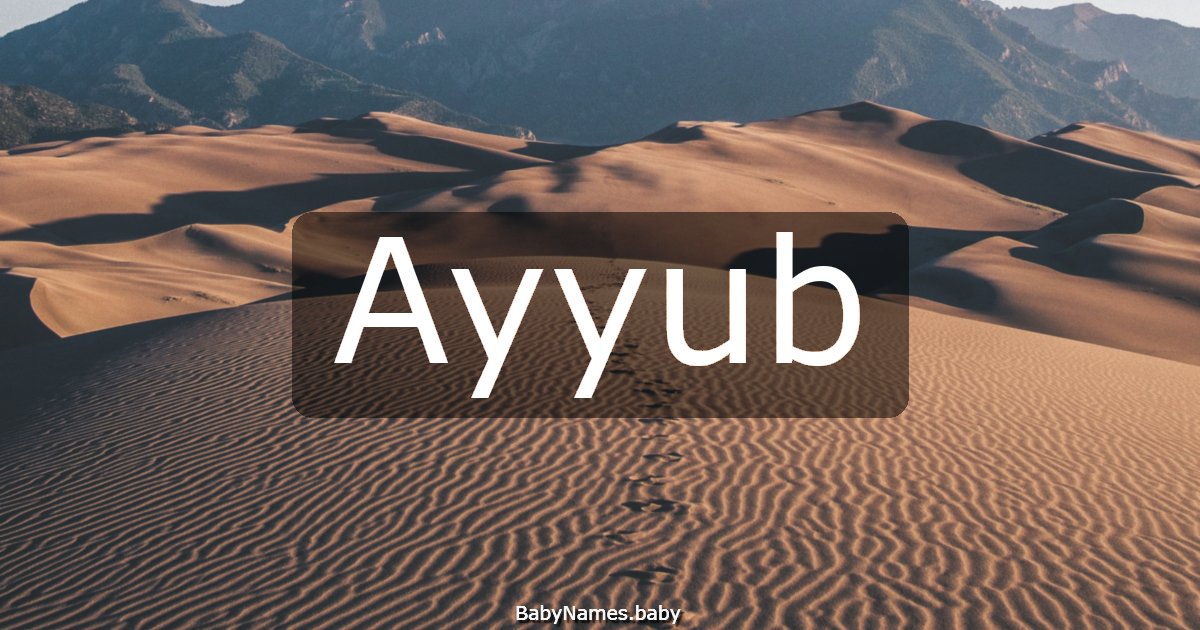 Ayyub
