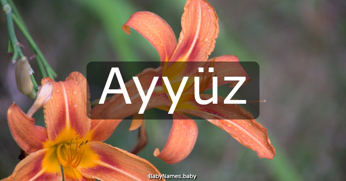 Ayyüz
