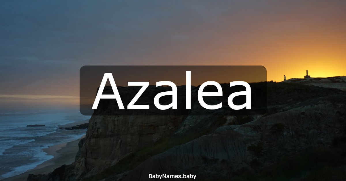 Azalea
