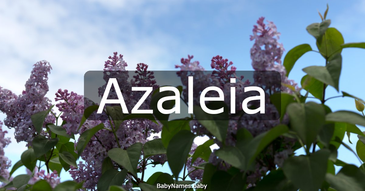 Azaleia