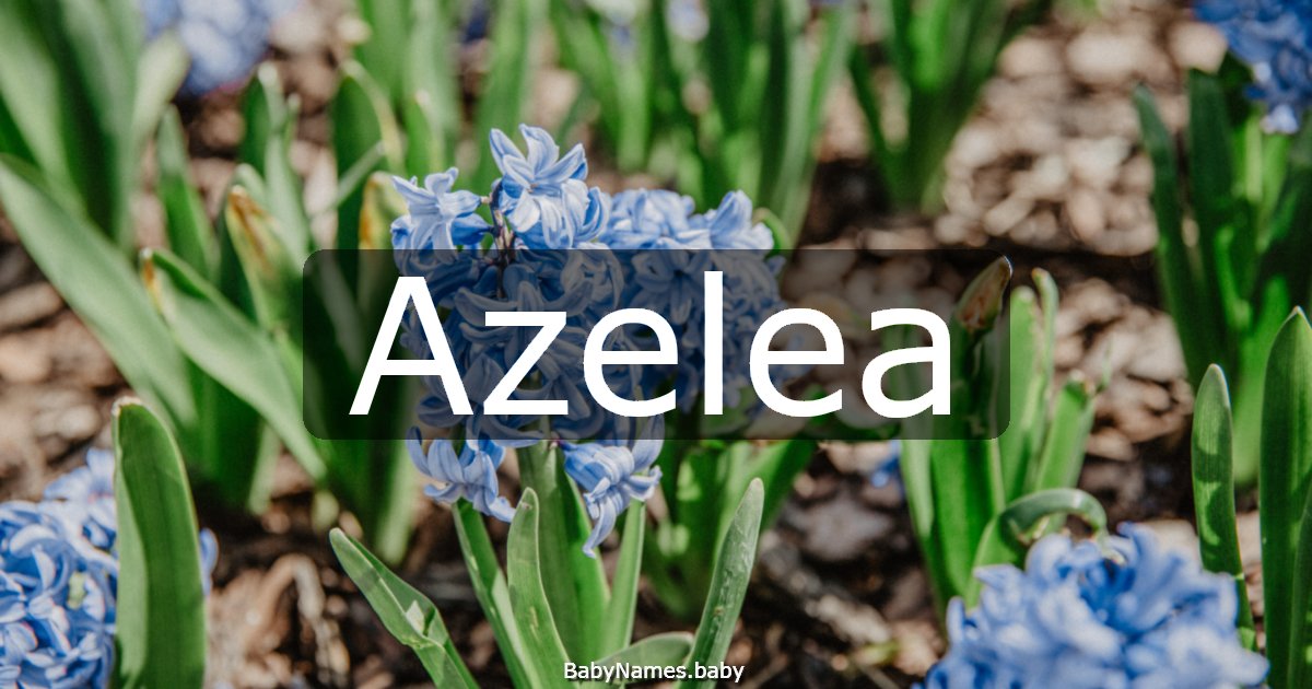 Azelea