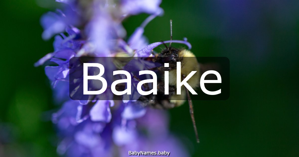 Baaike