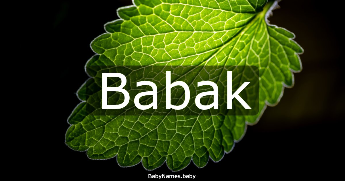 Babak