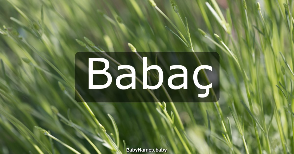 Babaç