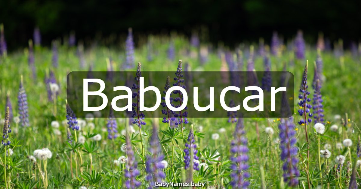 Baboucar