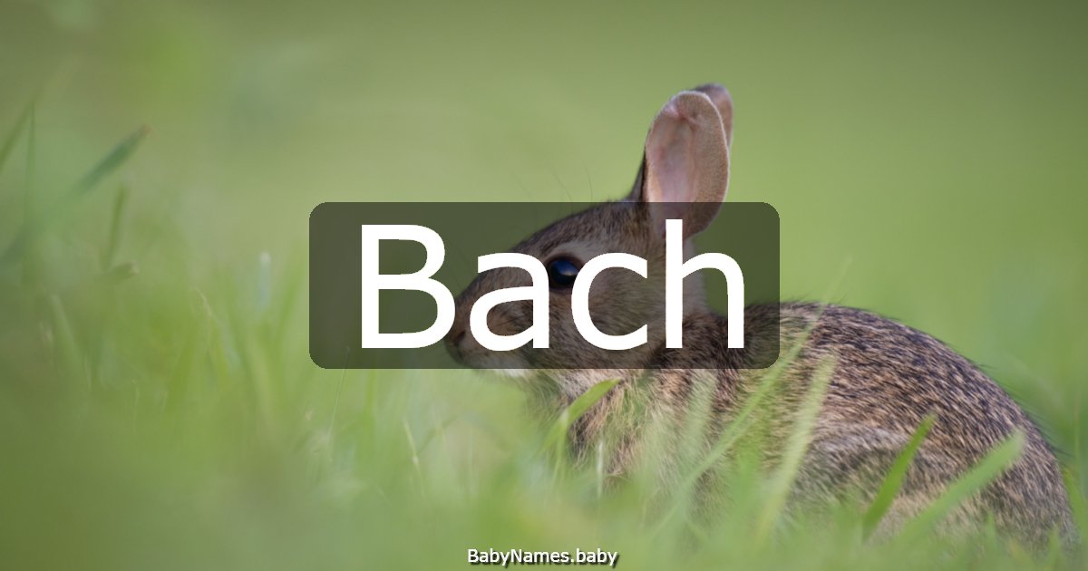 Bach