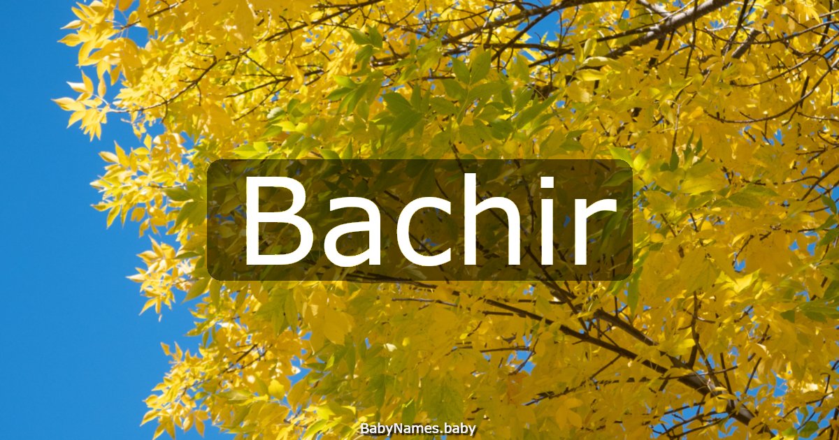 Bachir