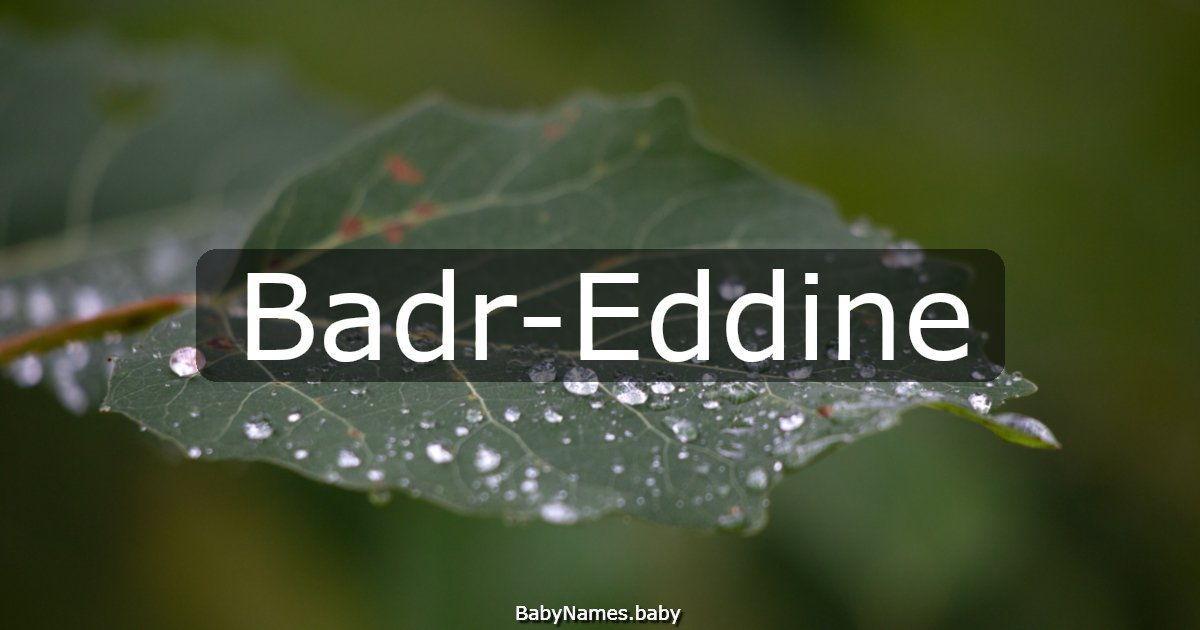 Badr-Eddine