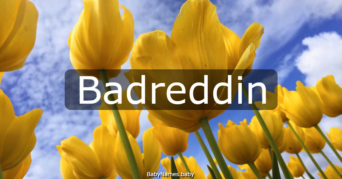 Badreddin