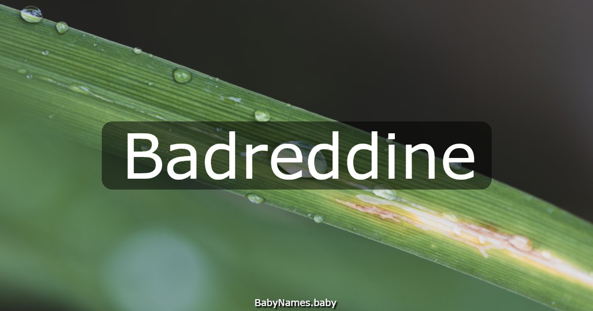 Badreddine