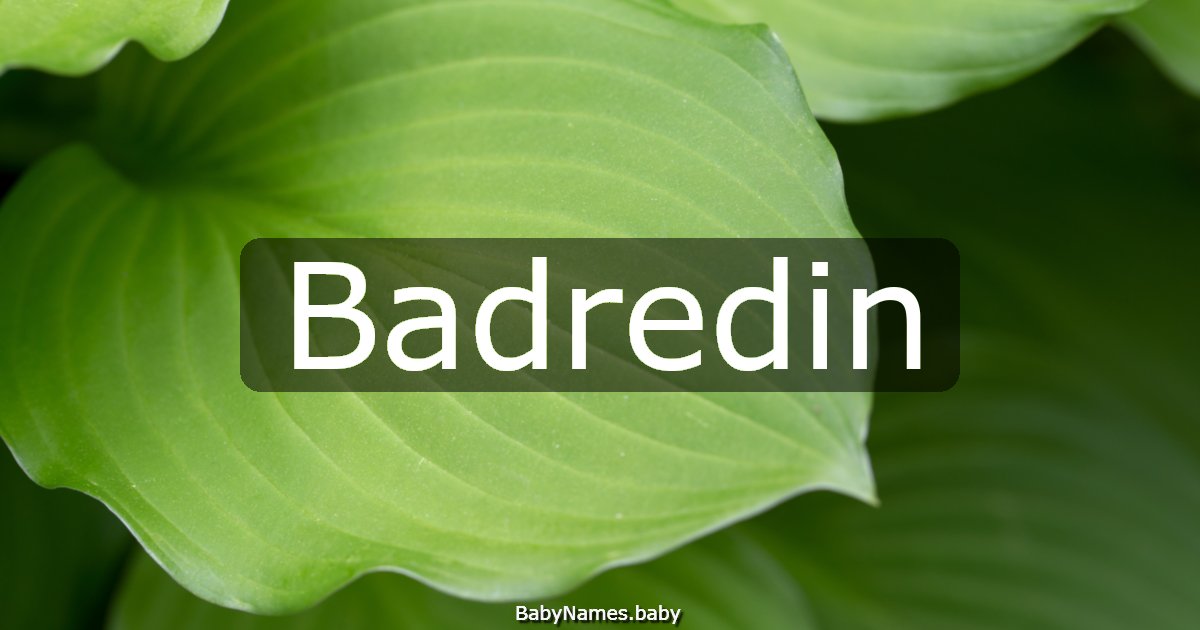 Badredin