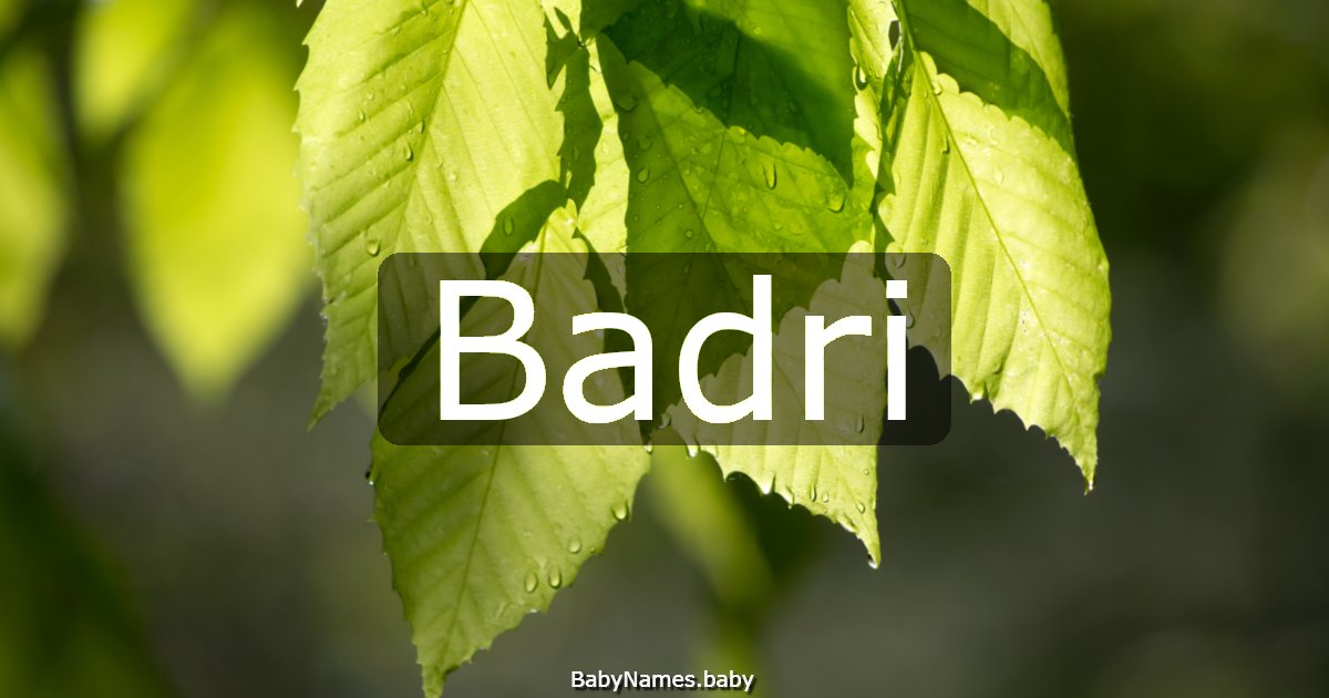 Badri