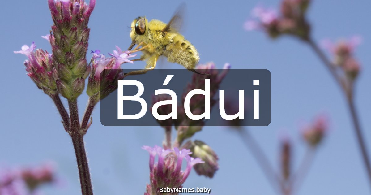 Bádui
