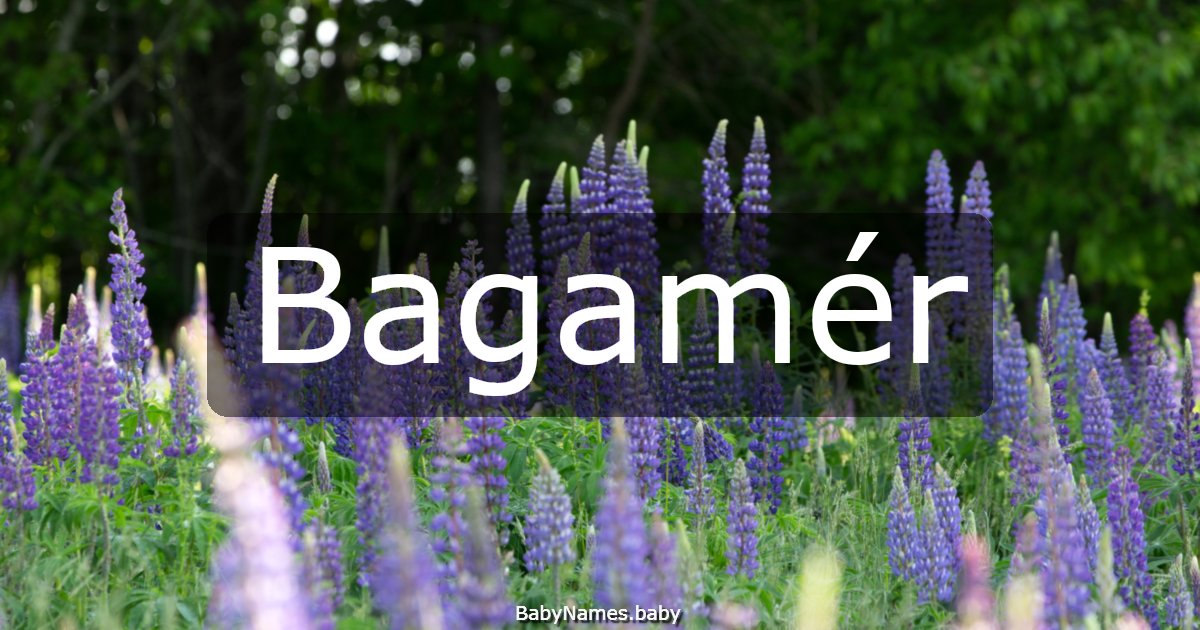 Bagamér